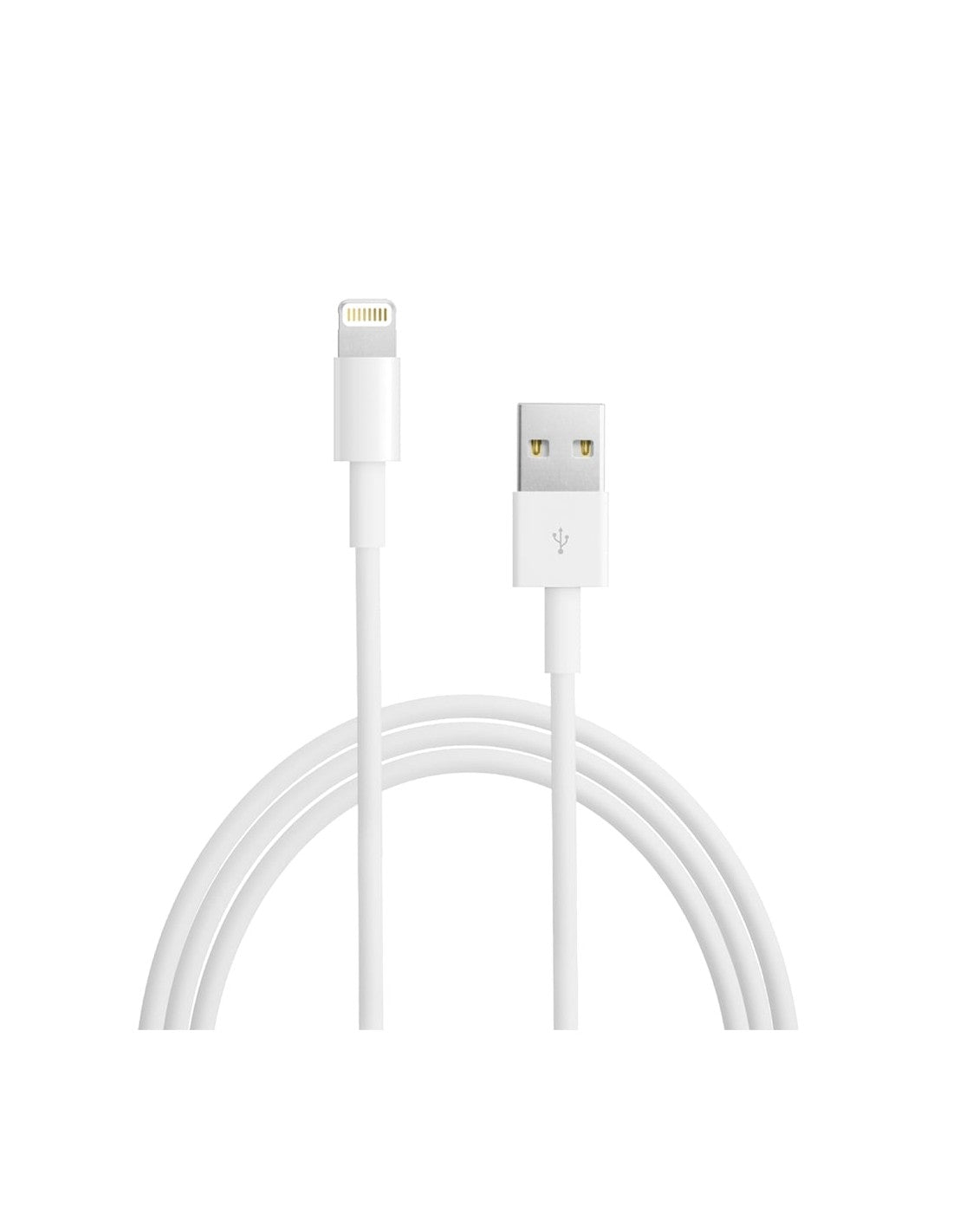 Lightning to USB Cable (1 m)